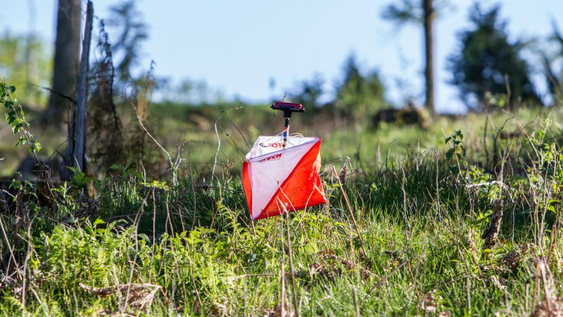 Orienteringskontroll ute i skogen
